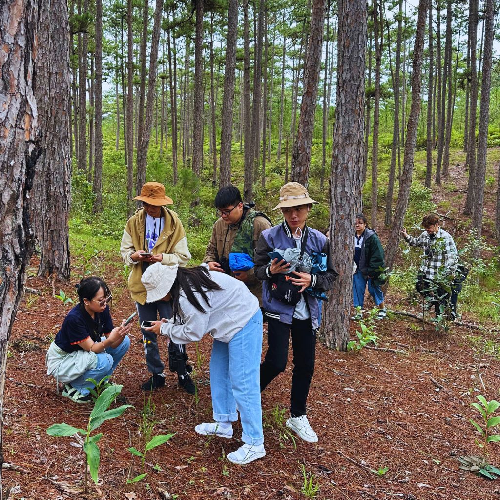 Phát triển du lịch sinh thái