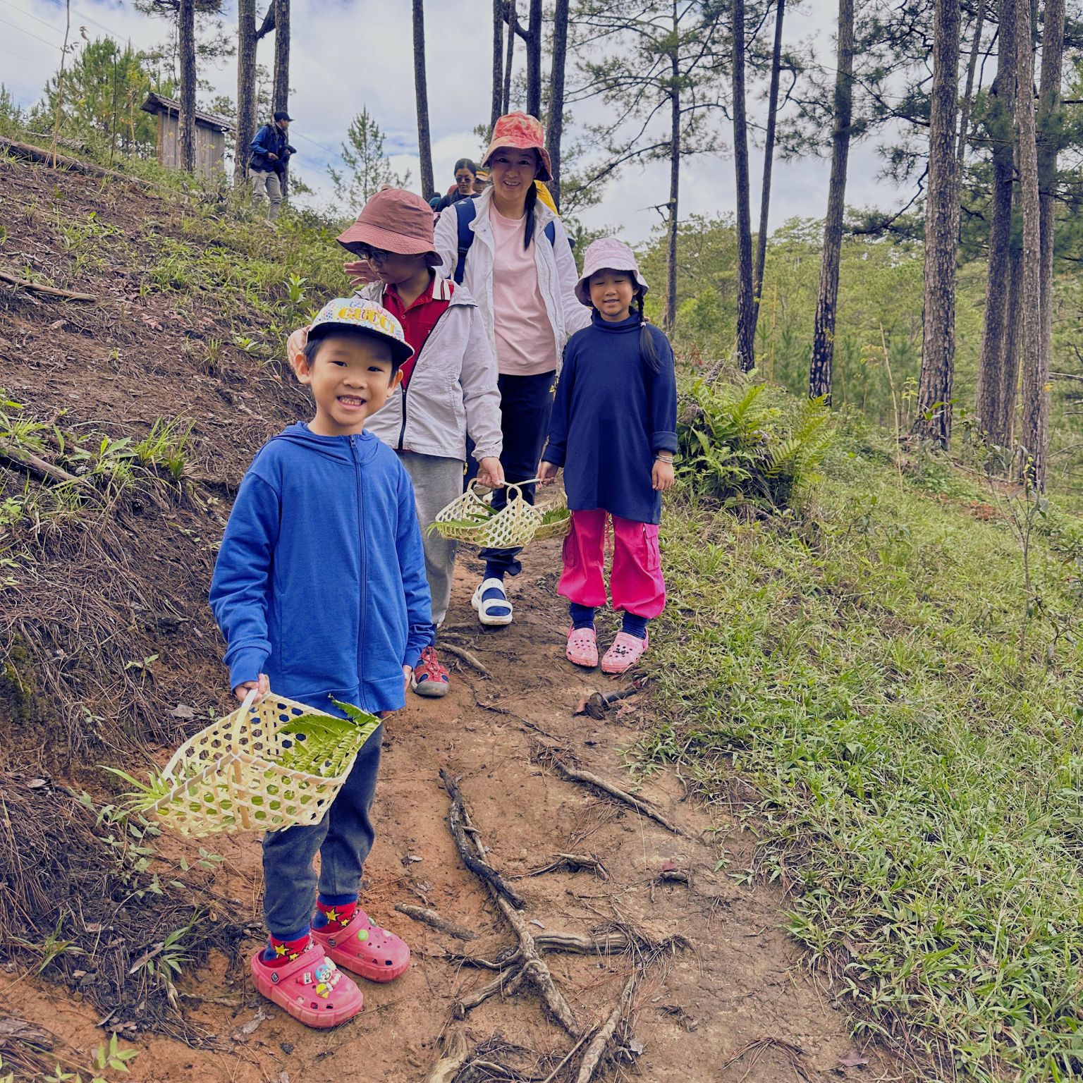 Nấm rừng và chim